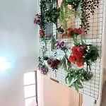 3m Peristil Apartment Split